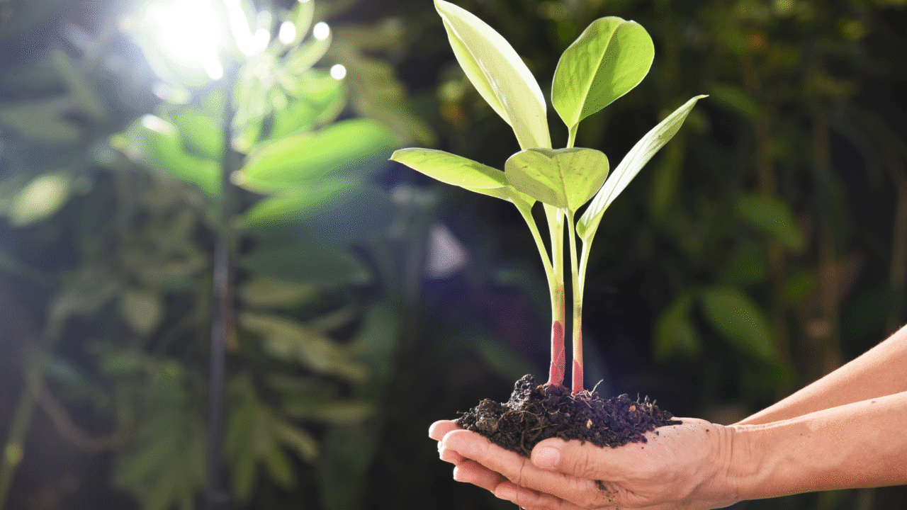 核心理念_無負擔